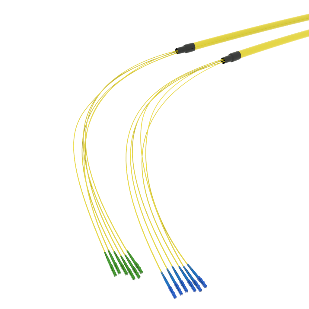 SpiderLINE BC
