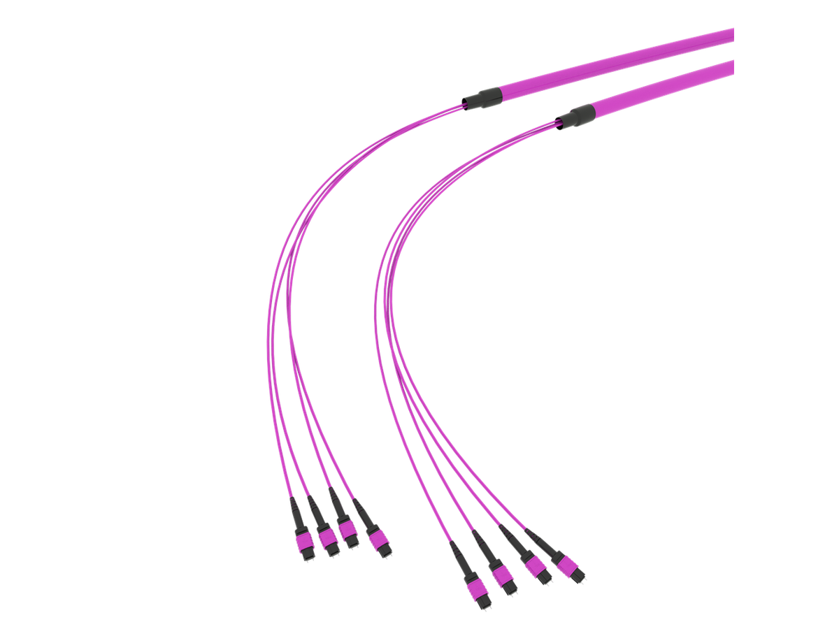 SpiderLINE MTP EasyCONNECT