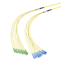 SpiderLINE MBC MINI