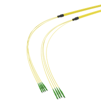 SpiderLINE BC