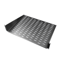 19'' Tablar fix perforiert 250mm 2HE, max. 12Kg