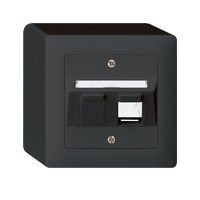 LAN AP-Dose 2xKS kallysto (88x88) BK