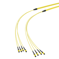 SpiderLINE MTP EasyCONNECT