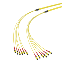 SpiderLINE MTP EasyCONNECT