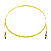 SpiderLINE MTP EasyCONNECT