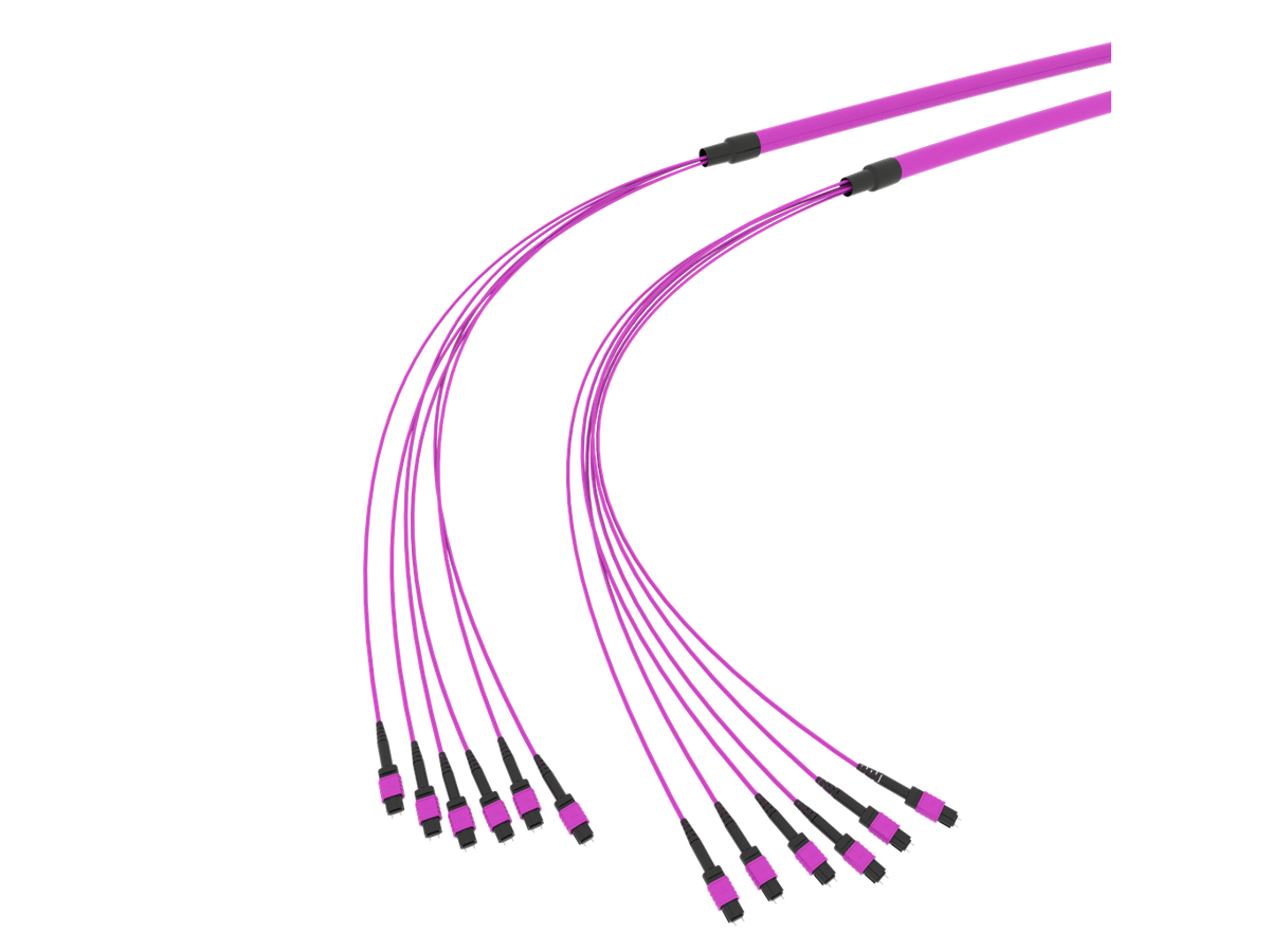 SpiderLINE MTP EasyCONNECT