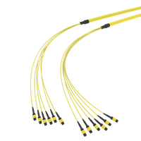 SpiderLINE MTP EasyCONNECT
