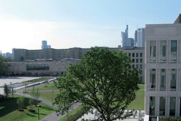 Goethe Universitaet Frankfurt