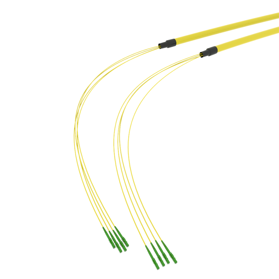 SpiderLINE BC