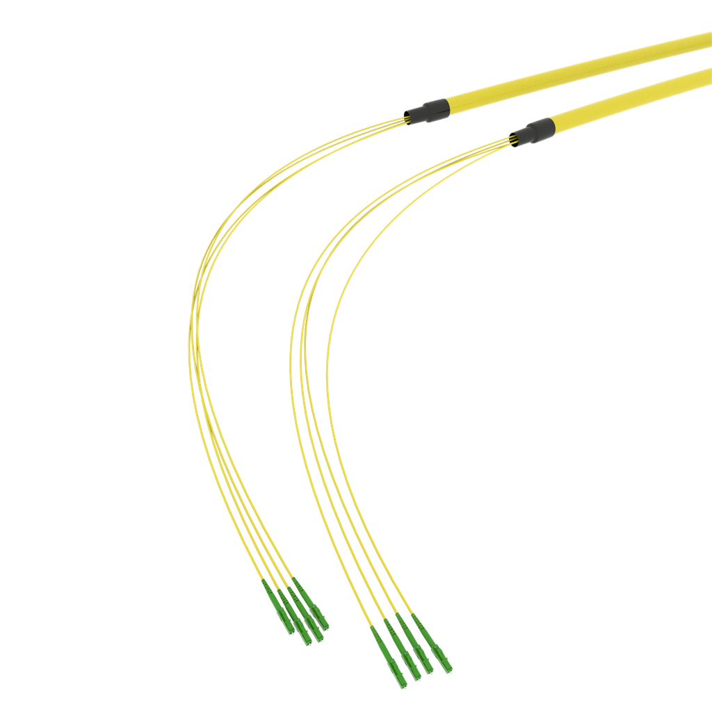 SpiderLINE BC