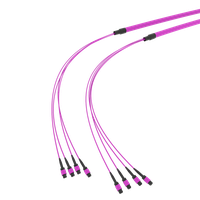 SpiderLINE MTP EasyCONNECT