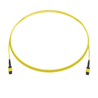 SpiderLINE MTP EasyCONNECT
