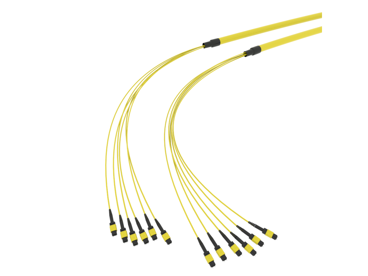 SpiderLINE MTP EasyCONNECT