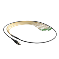 SpiderLINE RC