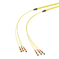 SpiderLINE MTP EasyCONNECT