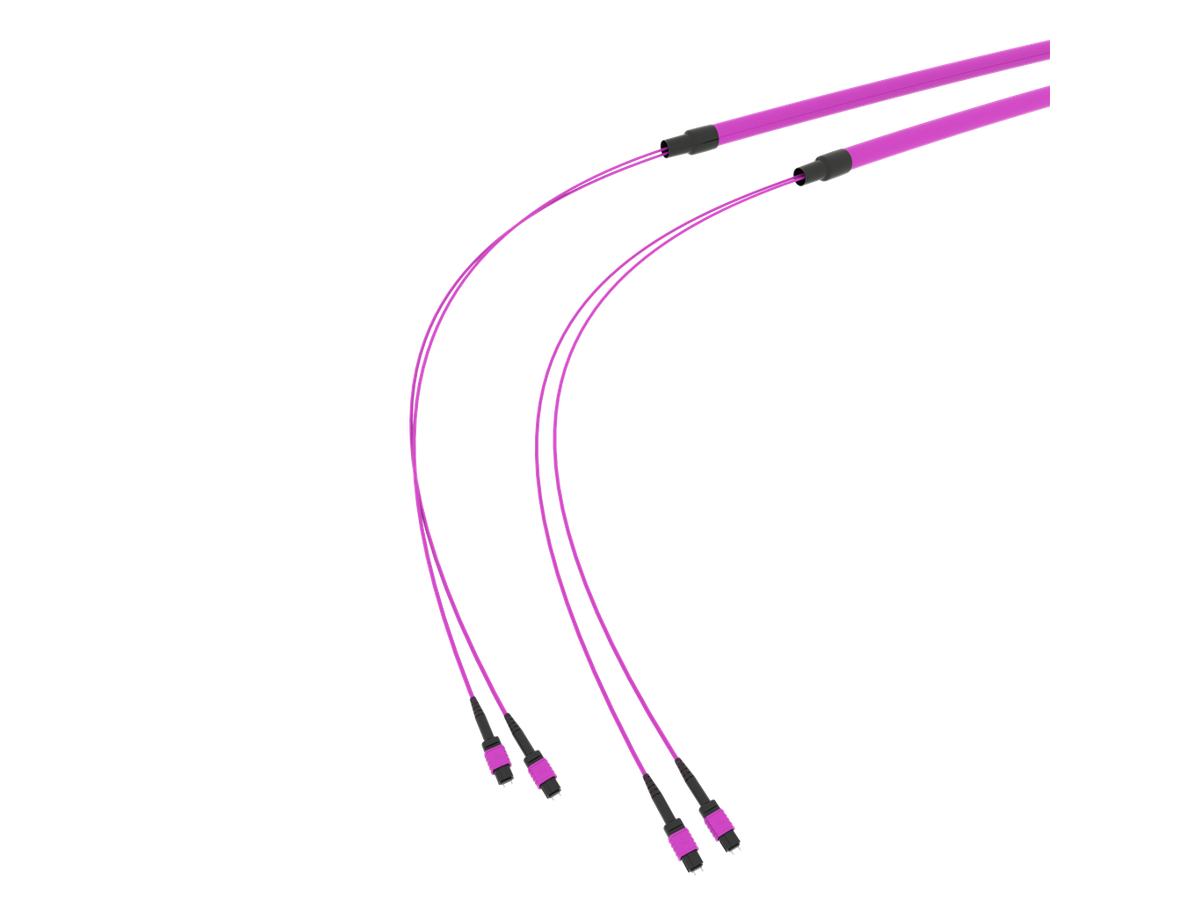 SpiderLINE MTP EasyCONNECT