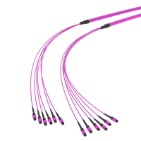 SpiderLINE MTP EasyCONNECT