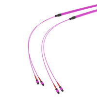 SpiderLINE MTP EasyCONNECT