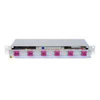 CCM Patchpanel 1HE Alu PRO