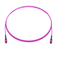 SpiderLINE MTP EasyCONNECT
