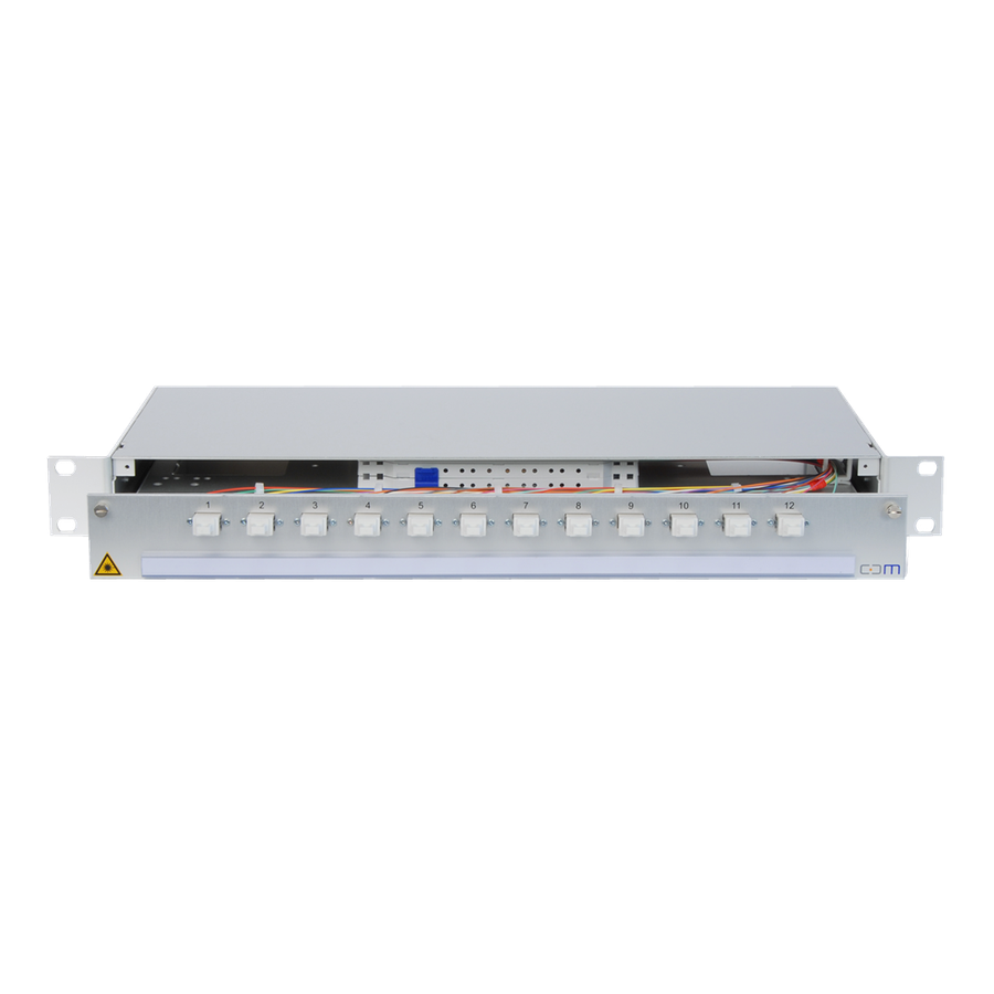 CCM Patchpanel 1HE Alu PRO