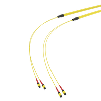 SpiderLINE MTP EasyCONNECT