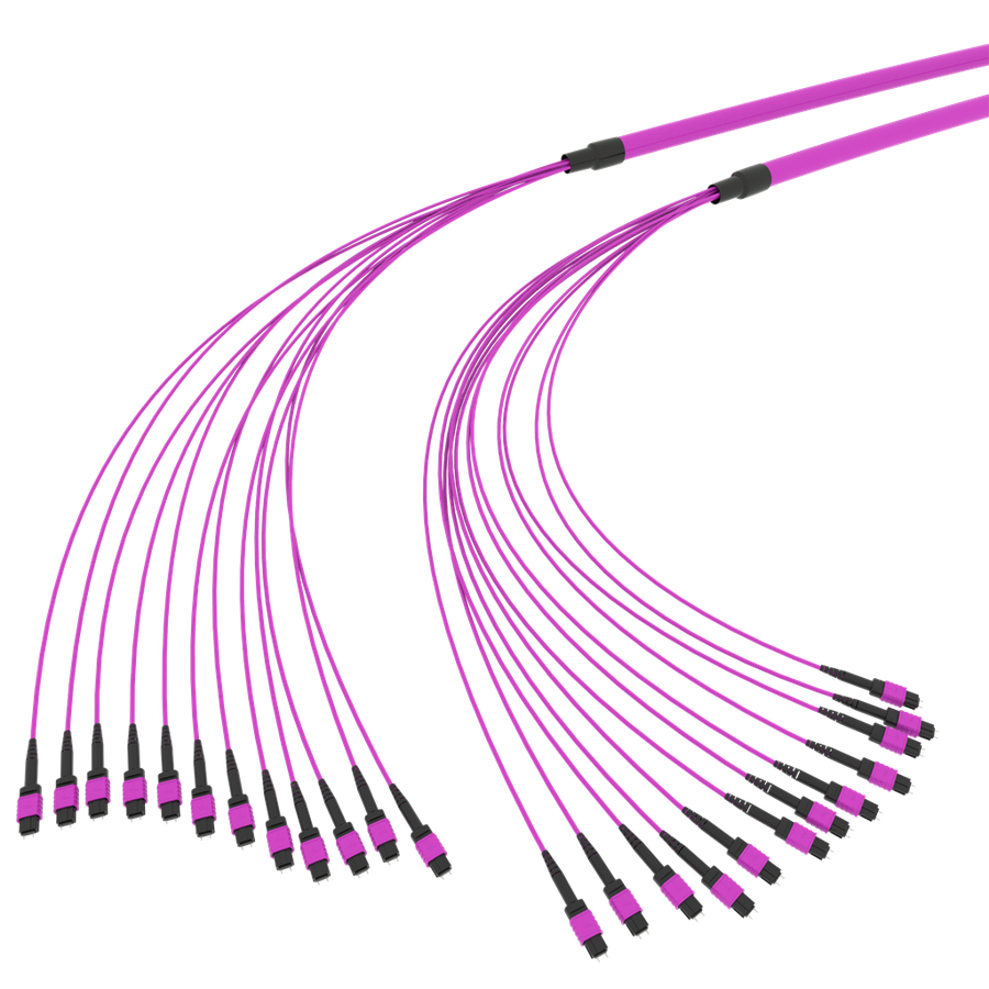 SpiderLINE MTP EasyCONNECT