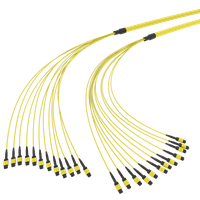 SpiderLINE MTP EasyCONNECT